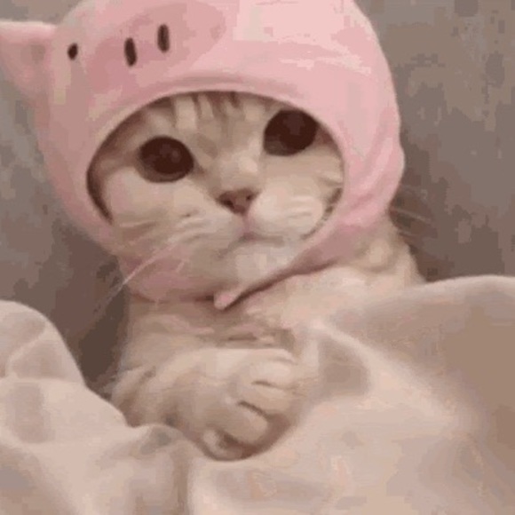 Meet your Posher, Michelle - Picture 1 of 1